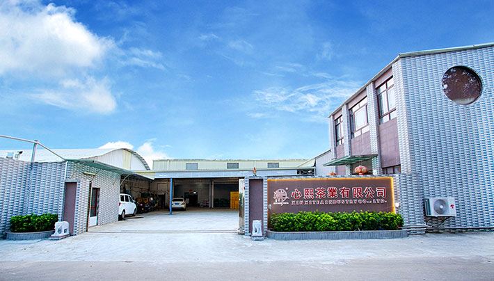 红杏视频下载入口厂房
